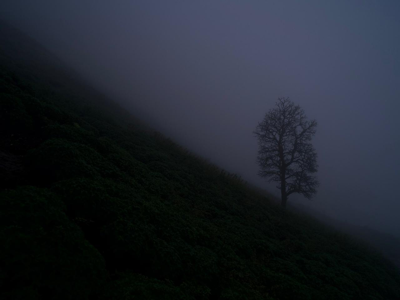 Digital 04